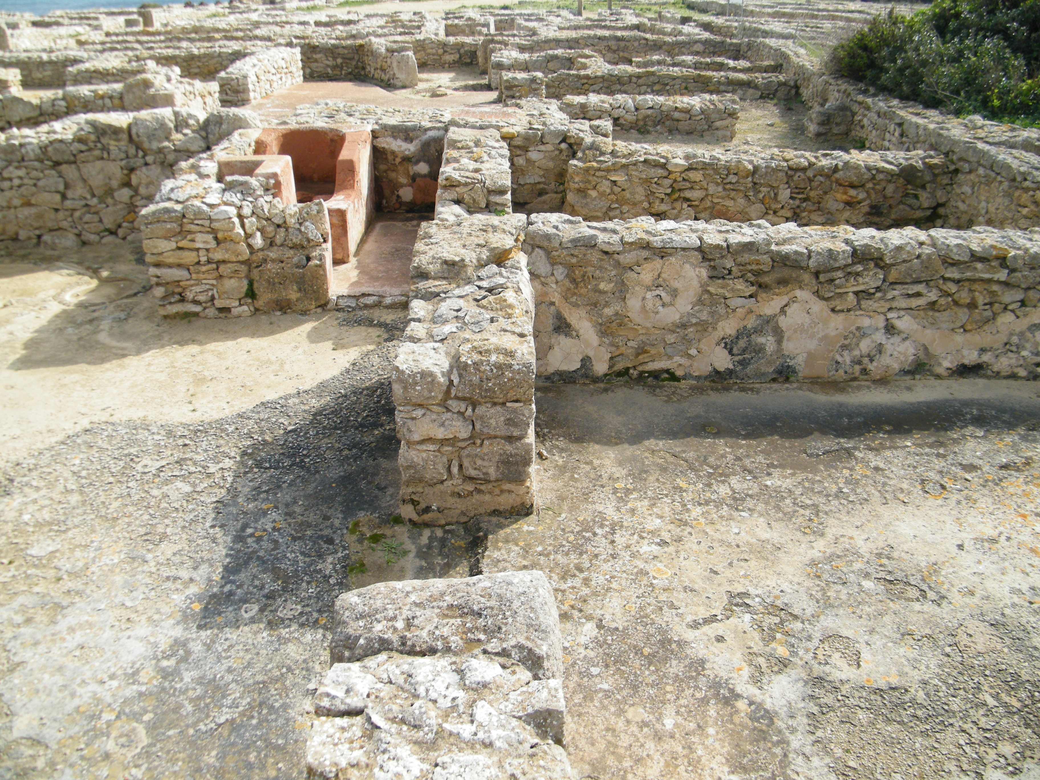 Ruinen des punischen Kerkouane